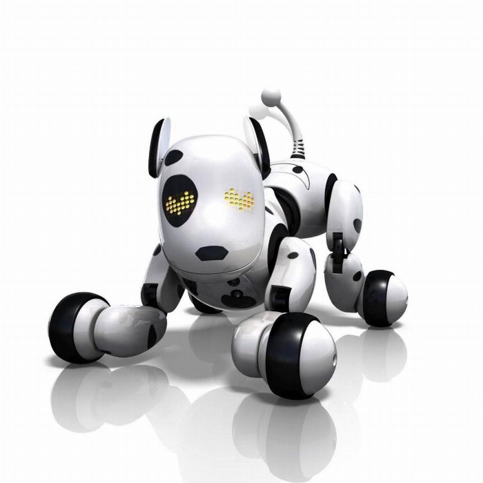 Robô cão