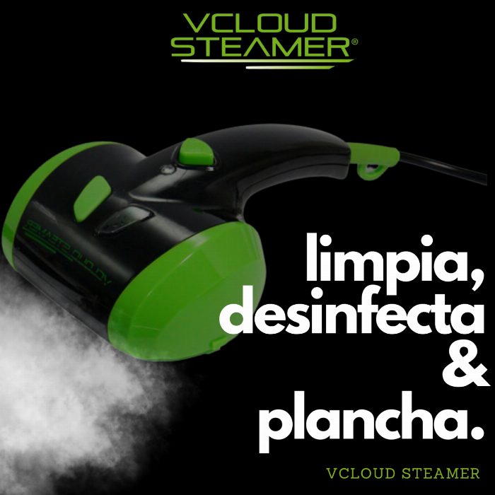 Ferro de vapor profissional portátil