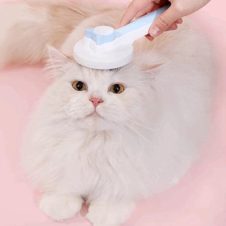 Pente para animais de estimação